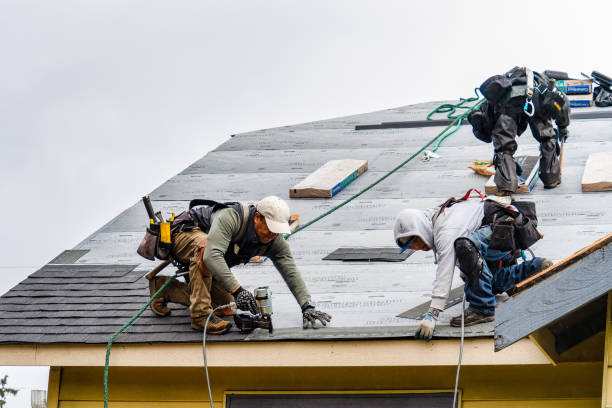 Professional Gutter Installation technician working in Stanwood, IA